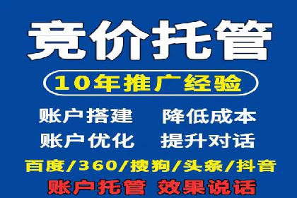SEM搜索引擎优化策略解析与应用案例